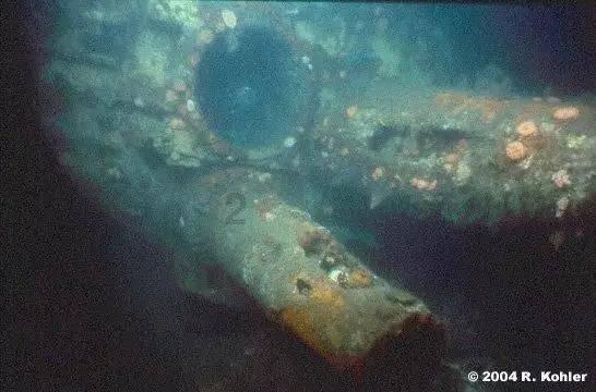《封神演义》里的伯邑考并无功劳，姜子牙何以封其紫薇大帝呢？